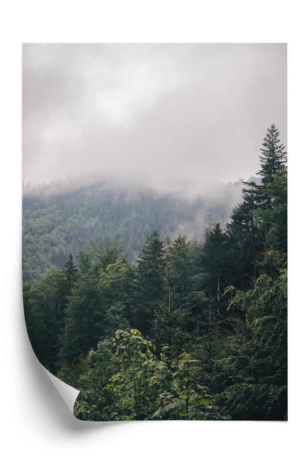 Plakat Morgen I Bjergene Med Tåge Over Den Grønne Skov