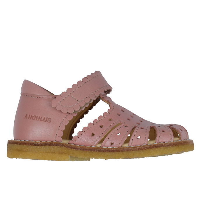 Angulus Sandal Begynder Rose